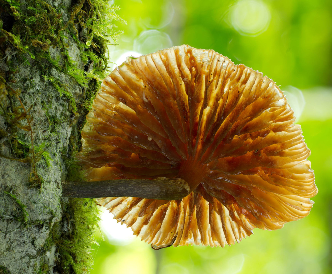 2026 01 02 14 43 20 BR8S4