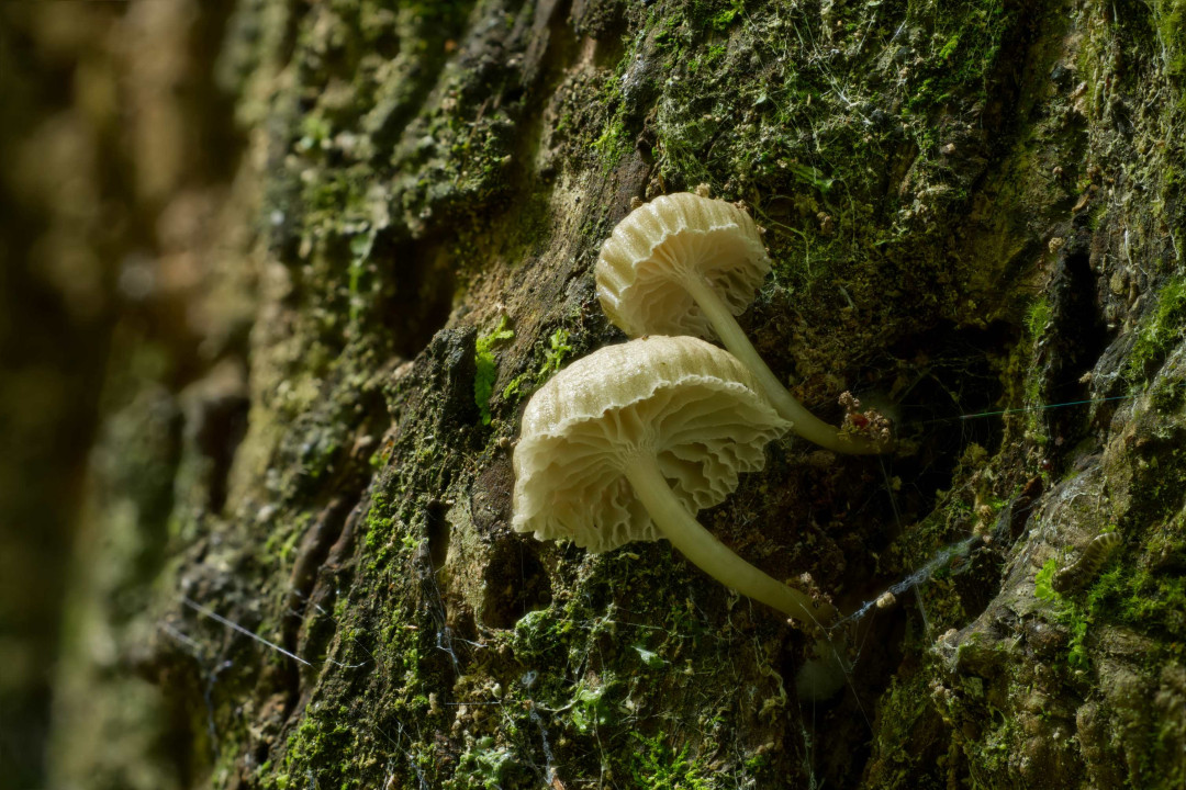 2026 01 12 20 47 27 CS6