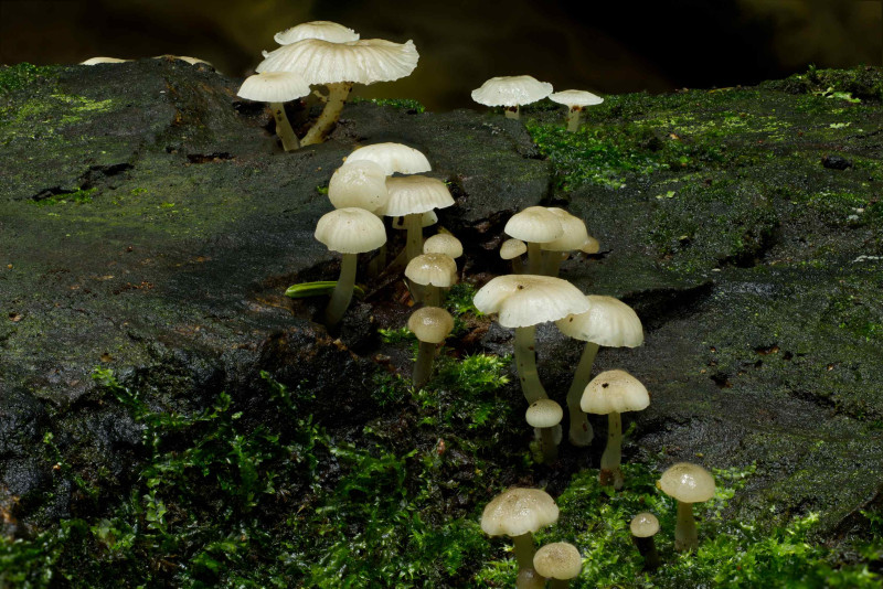 2026 01 12 20 51 54 BR8S4