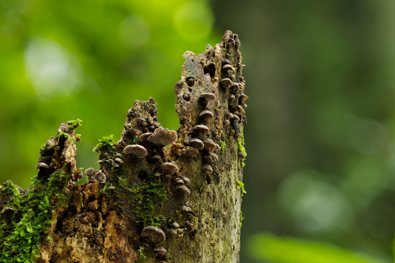 2026 01 12 20 58 53 BR8S4