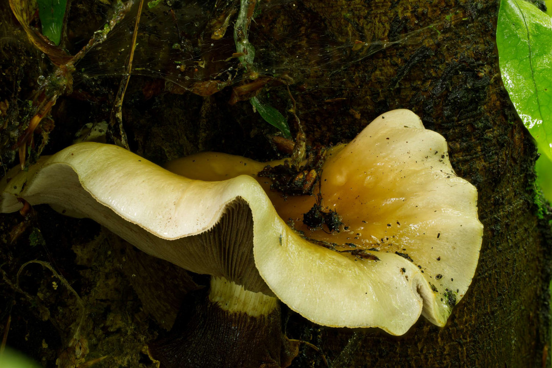 2026 01 12 21 00 33 BR8S4