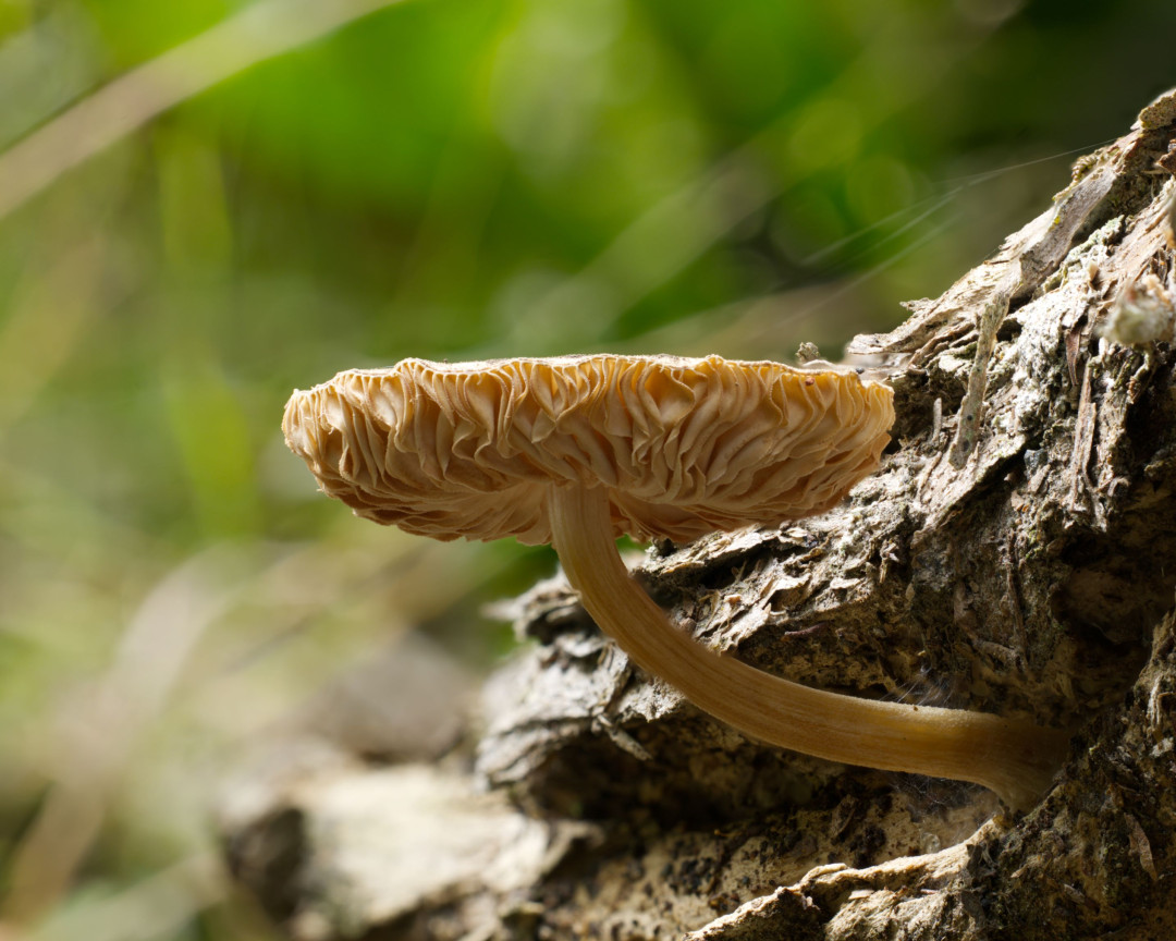 2026 02 06 18 22 28 BR8S4