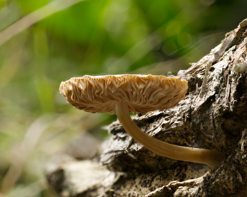 2026 02 06 18 22 28 BR8S4