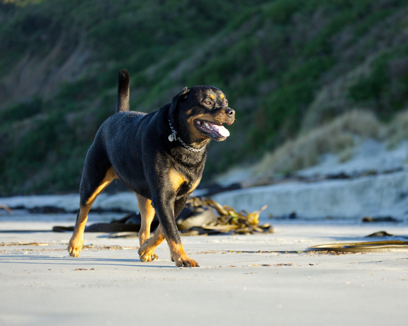 R1 12795